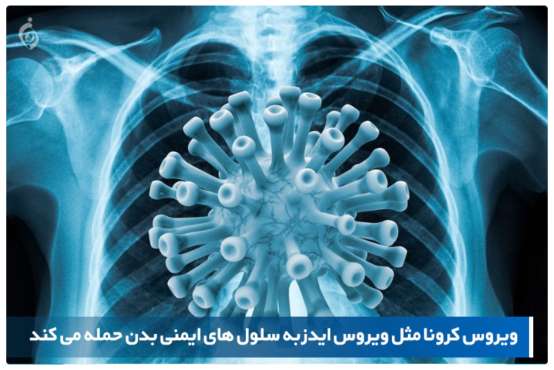 سلول‌های ایمنی بدن
